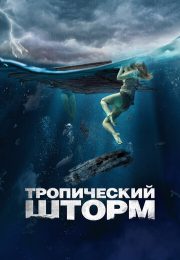 постер Акулы (2022)